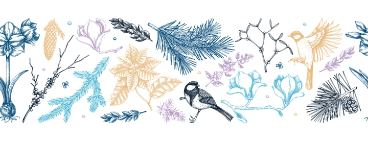 Winter flowers seamless pattern. Christmas background. Floral border design, Birds on tree branches sketches. Hand-drawn vector background. NOT AI generated